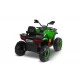 Battery-operated Quad Gigant Car Green Caretero Toyz