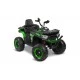 Battery-operated Quad Gigant Car Green Caretero Toyz