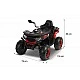 Battery-operated Quad Gigant Car Green Caretero Toyz
