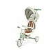 Tricycle and balancing wheel 2in1 Faro Green Caretero Toyz