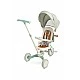 Tricycle and balancing wheel 2in1 Faro Green Caretero Toyz