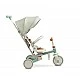 Tricycle and balancing wheel 2in1 Faro Green Caretero Toyz