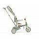 Tricycle and balancing wheel 2in1 Faro Green Caretero Toyz