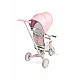 Tricycle and balancing wheel 2 in 1 Faro Pink Caretero Toyz