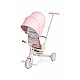 Tricycle and balancing wheel 2 in 1 Faro Pink Caretero Toyz