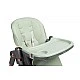 Highchair Vars Mint Caretero
