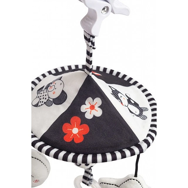 Black and White Book Star Sensillo