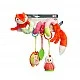 Colorful Educational Spring – Fox Sensillo