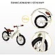 Balance Bicycle Inter Pink Caretero Toyz