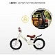 Balance Bicycle Inter Pink Caretero Toyz