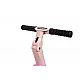 Multifunctional Bicycle Fox 4B1 Fox Pink Caretero Toyz