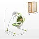 Electric Chaise Lounge And Swing Bugies Forest Caretero
