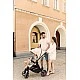 Baby Stroller Agil Gray Caretero