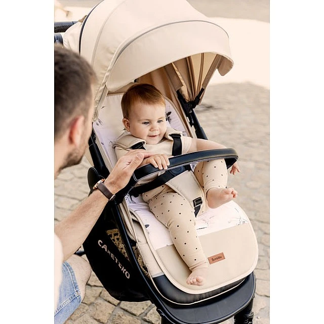 Baby Stroller Agil Gray Caretero