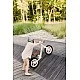 Balance Bicycle Inter Pink Caretero Toyz