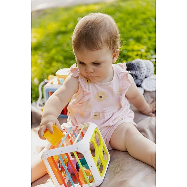 Образователна Играчка – Сортер Зарове Caretero Toyz