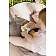 Образователна Играчка – Преносима Игра (0554)
 Caretero Toyz