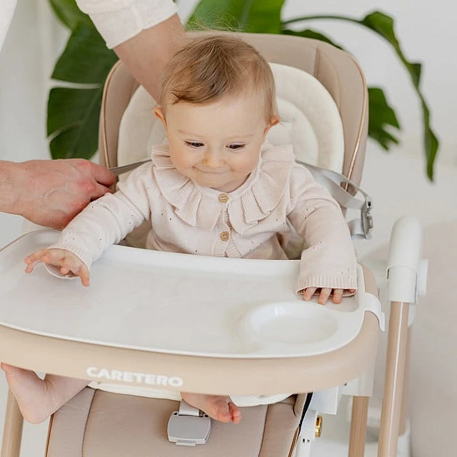 Nesto High Chair Pink Caretero