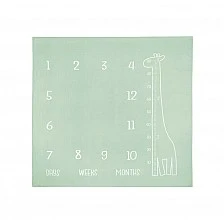 Muslin photo blanket Giraffe Mint 120x120 cm