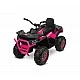 Battery Car Terra Pink Caretero Toyz