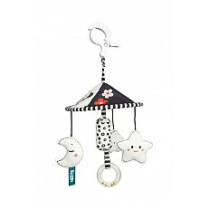 Black and White Book Star Sensillo