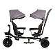 Tricycle for twins Hip Hop graphite