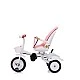 Tricycle with canopy 360 seat 