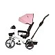 Tricycle with canopy 
