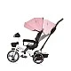 Tricycle with canopy 
