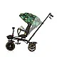 Max Sport jungle canopy tricycle