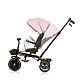 Tricycle with canopy Max Sport flamingo