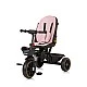 Tricycle with canopy Max Sport flamingo