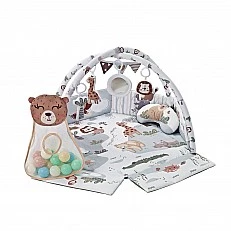 Animal Adventures Play Center