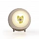 Multifunctional night lamp Fox