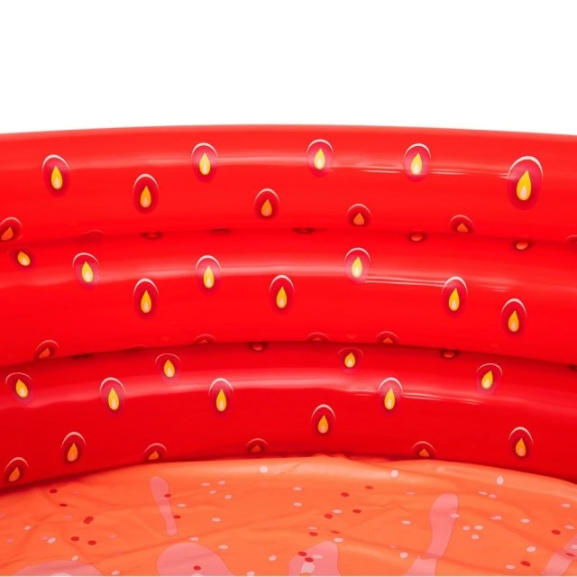 BESTWAY Inflatable pool 168x38 cm.