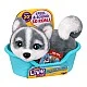 Little Live Pets Really Real Puppy Кученце Хъски Mini Aurora