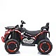 OCIE ATV Battery SPORT 12V Red