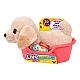 Little Live Pets Really Real Puppy Кученце Лабрадор Mini Buddy