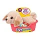 Little Live Pets Really Real Puppy Кученце Лабрадор Mini Buddy
