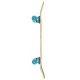 WB XOOTZ Skateboard 79cm. Chompers 5843 / Snake 5844