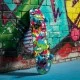 WB XOOTZ Skateboard 79cm. Chompers 5843 / Snake 5844