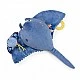 Stingray soft toy activity