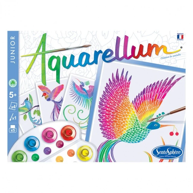 Birds of paradise watercolor coloring set