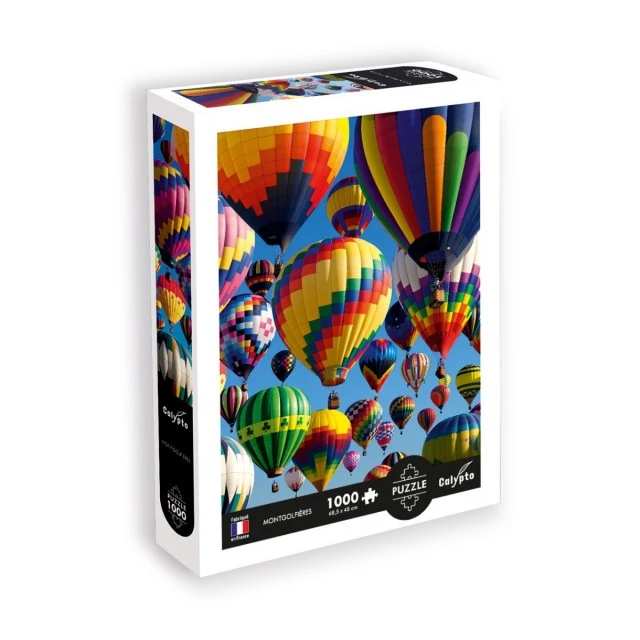 Balloons in the sky of France puzzle