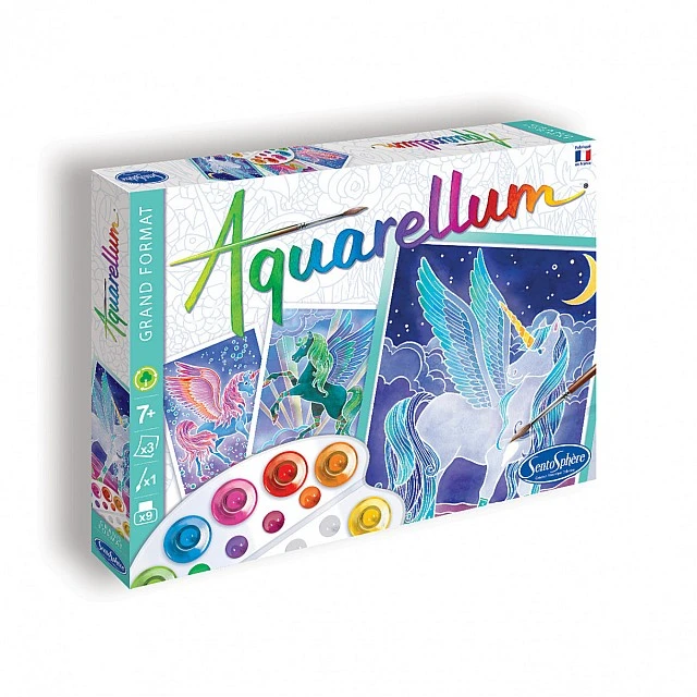 Coloring with watercolor paints pegasus large format