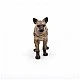 Hyena figurine