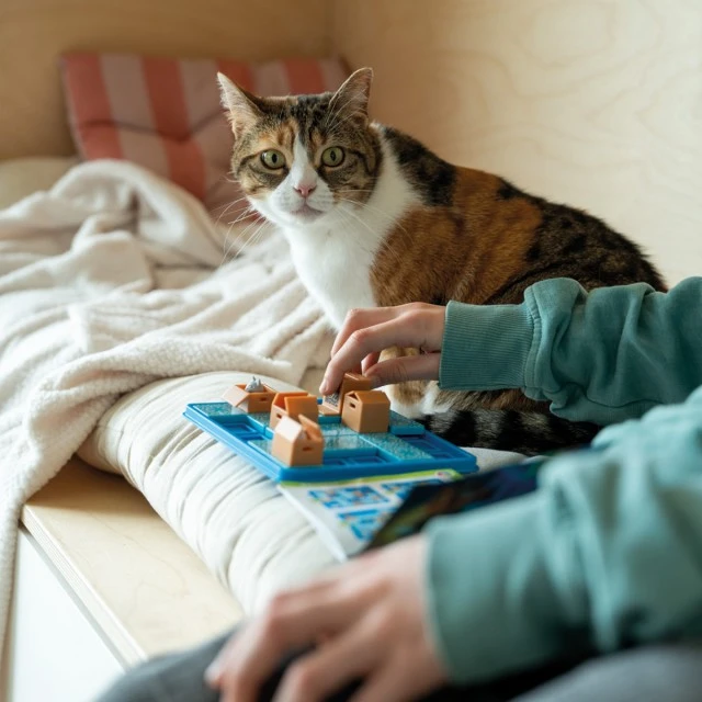 Логическа игра котки и кутии