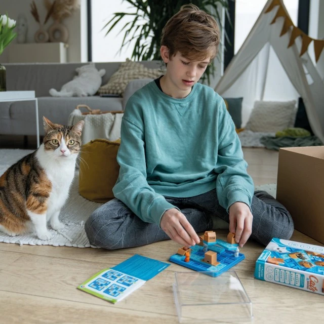 Логическа игра котки и кутии
