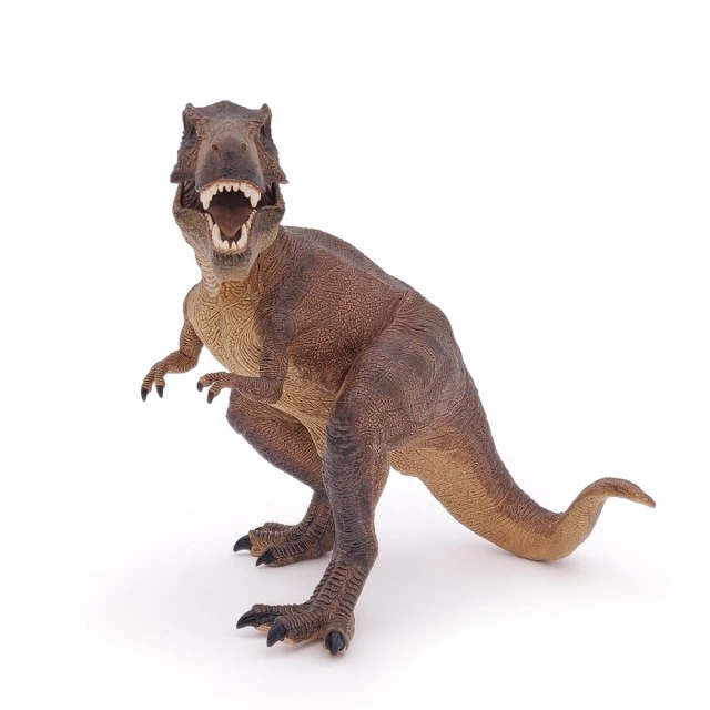 Tyrannosaurus rex