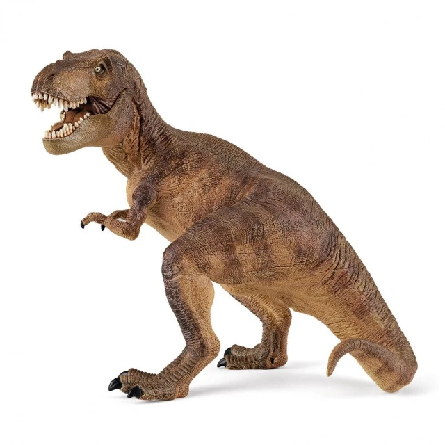 Tyrannosaurus rex